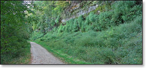 Red Cedar State Trail