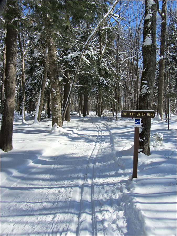 Anvil National Recreation Trail Image