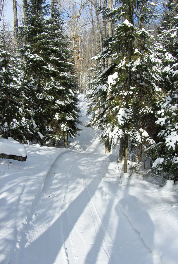 Escanaba Lake Ski Trail Image