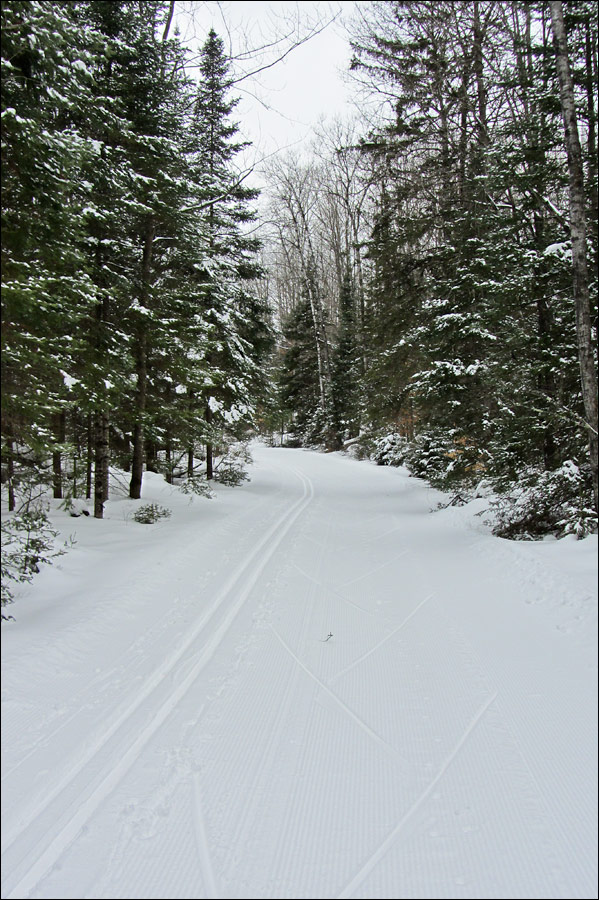 Lakewood Ski Trail Image