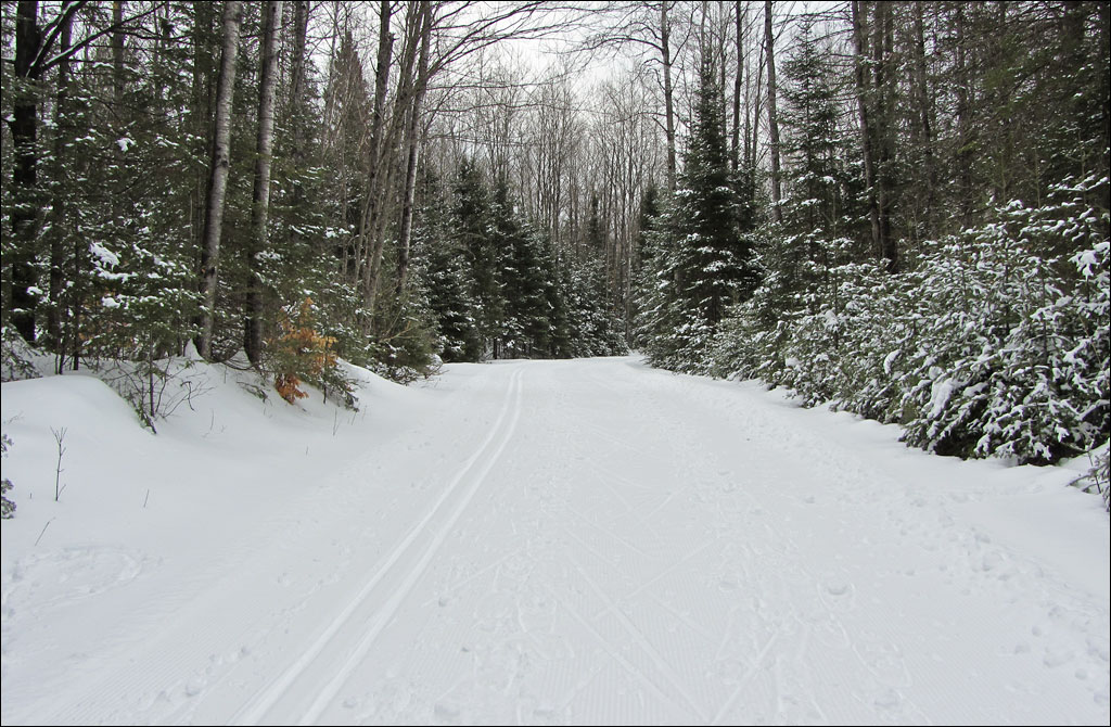 Lakewood Ski Trail Image