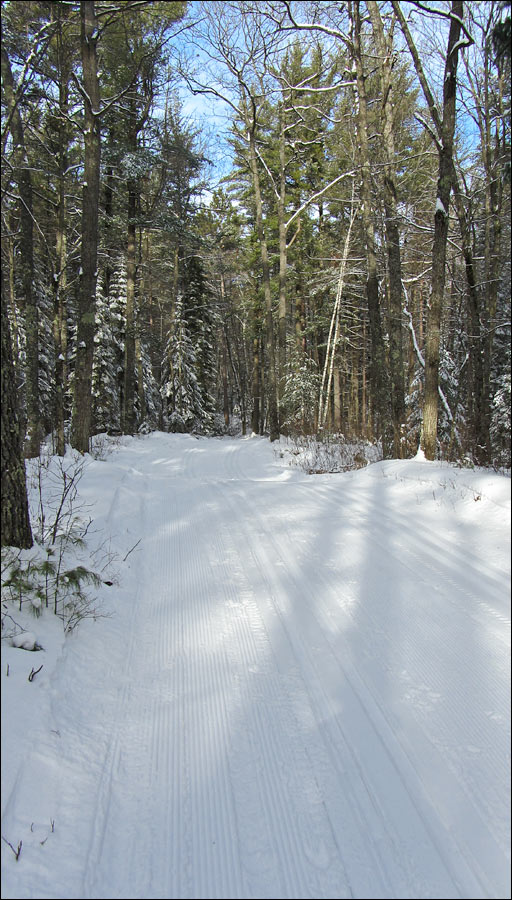 McNaughton Ski Trail Image