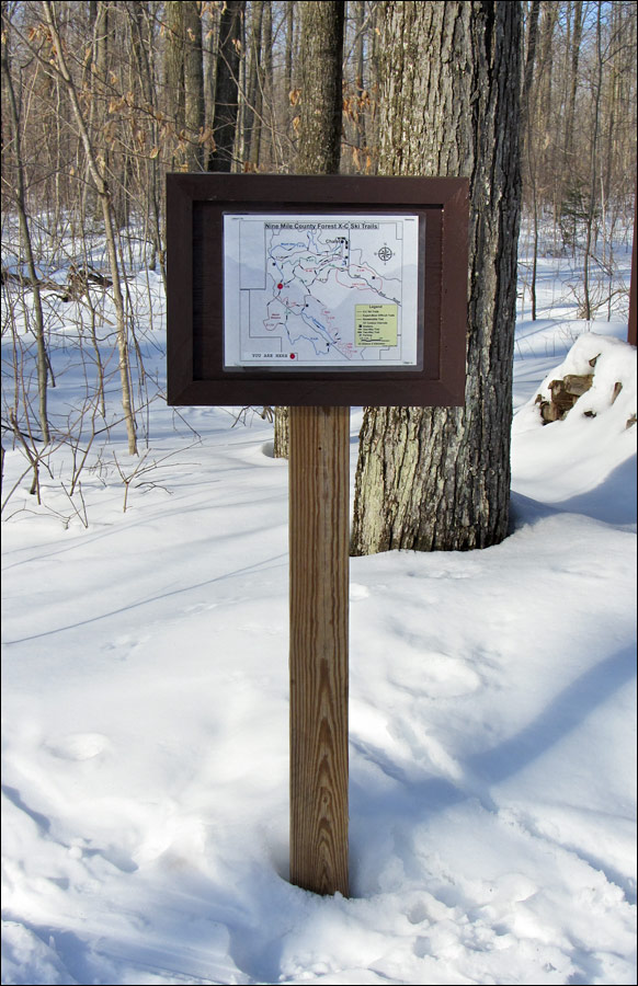 Nine Mile Forest Trail Image