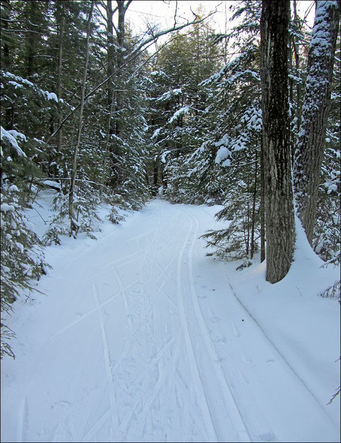 Rib Lake Ski and Snowshoe Trail Image