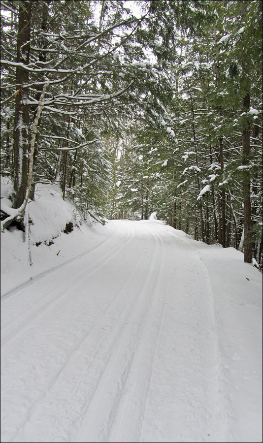 Underdown Ski Trail Image