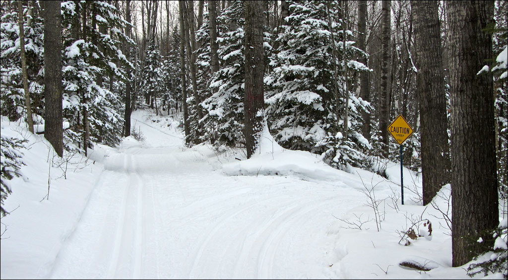 Underdown Ski Trail Image