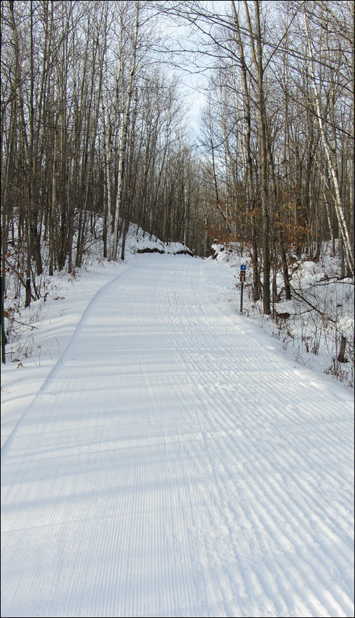 Washburn Lake Silent Sports Trails Area, Ski Trail Image