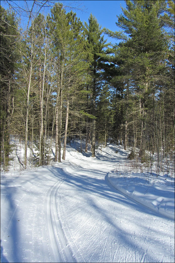 Minocqua Winter Park Trail Image