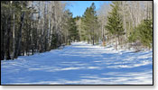 Minocqua Winter Park Trail Photo