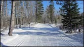 Minocqua Winter Park Trail Photo