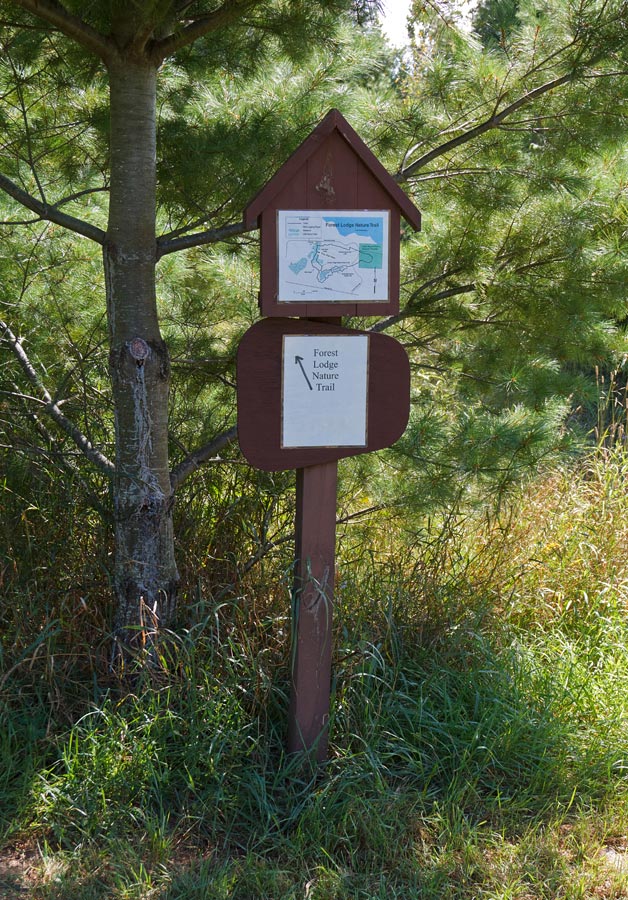 Forest Lodge Nature Trail Image