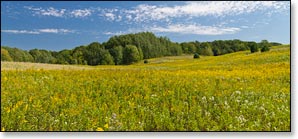 Chippewa Moraine Image