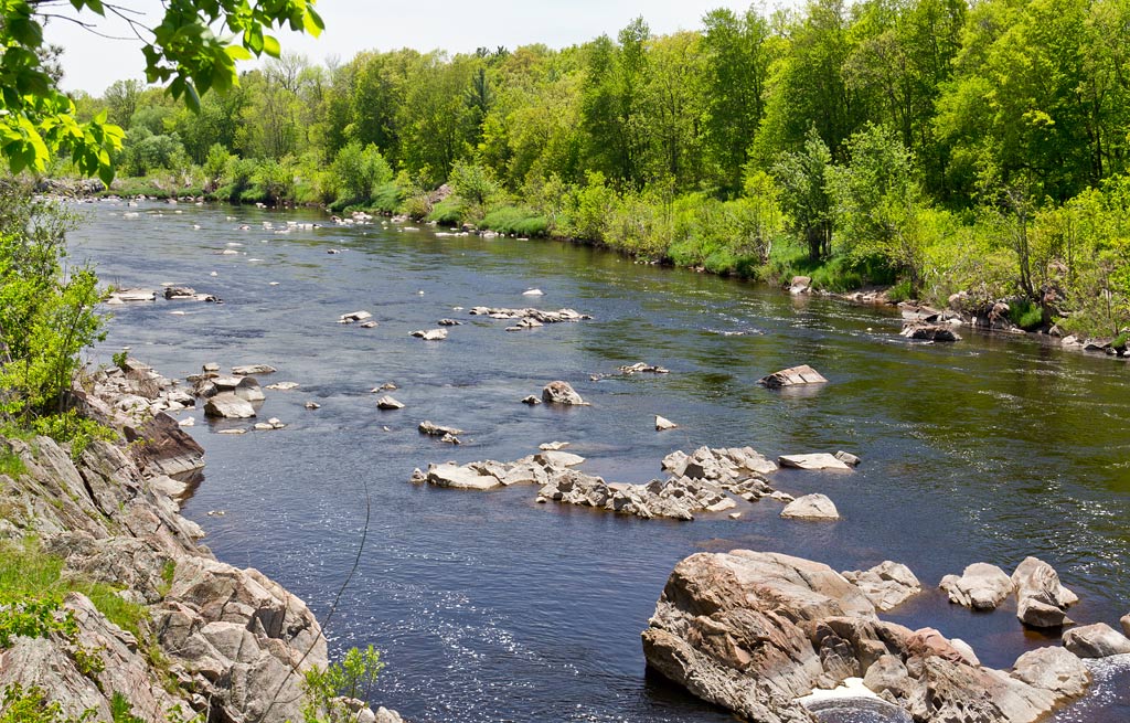 Black River paddle trail image