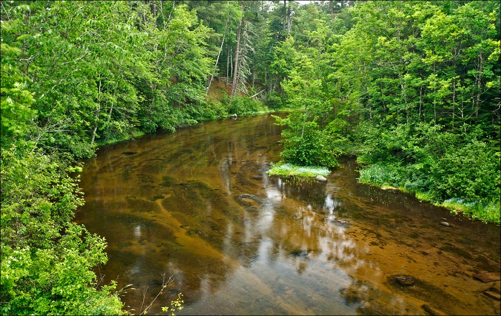 Bois Brule River paddle trail image