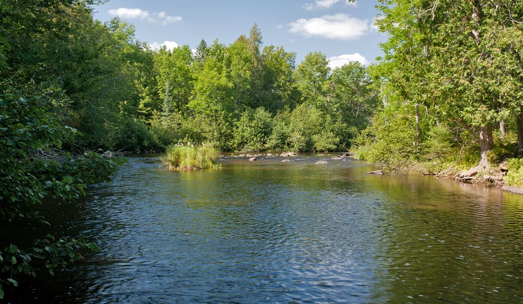 Brule River paddle trail image
