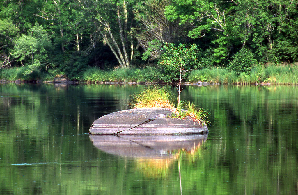 Chippewa River paddle trail image