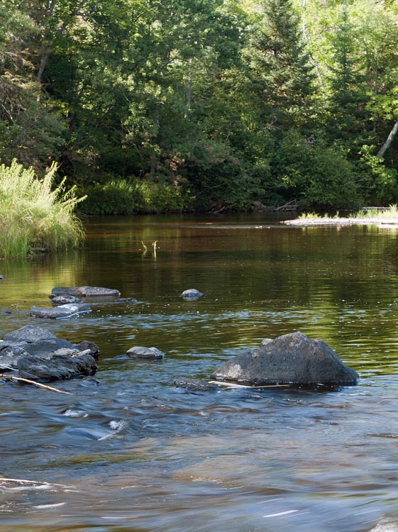 Popple River paddle trail image