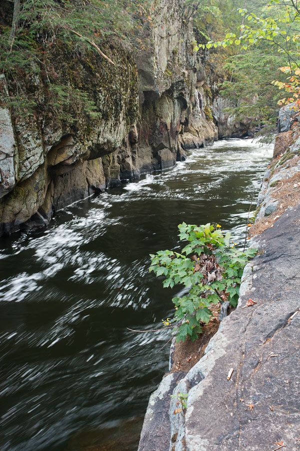 Wolf River paddle trail image