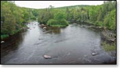 Wolf River Image