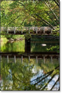 Peshtigo River Media Gallery