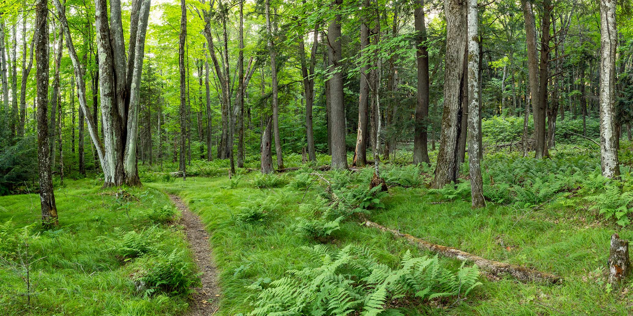 Eagle River-Florence District, Chequamegon-Nicolet Camping | Wisconsin ...