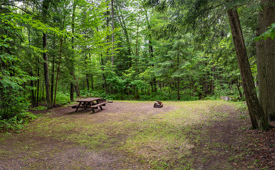 Pine Lake Image 5148
