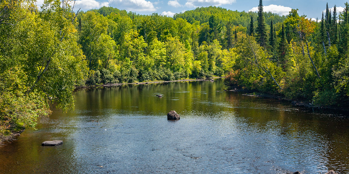 Pine River | Wisconsin Trail Guide