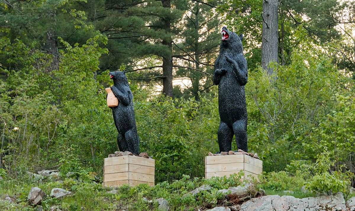 Black River Image 102