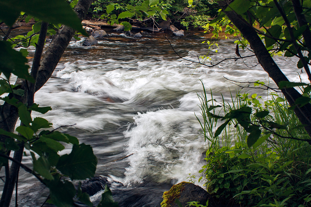Bois Brule River Image, 016