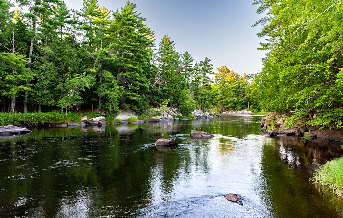 South Fork Flambeau River Image
