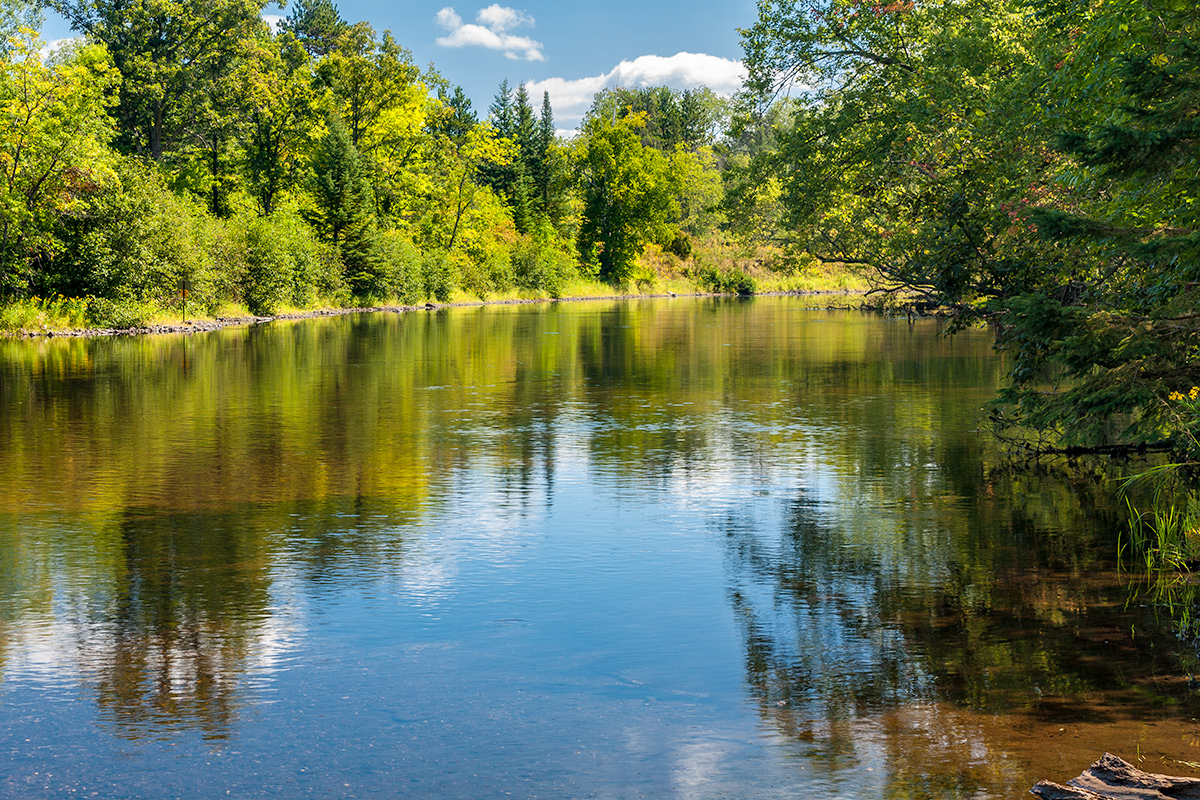 Pine River