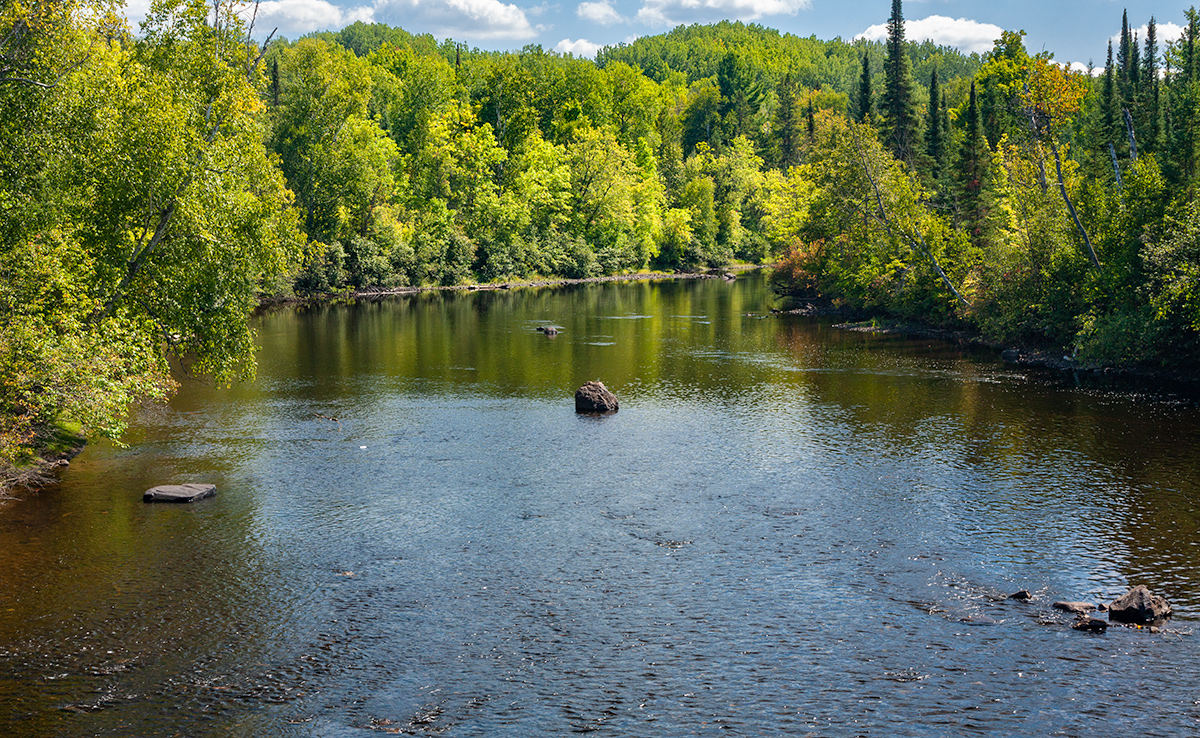 Pine River