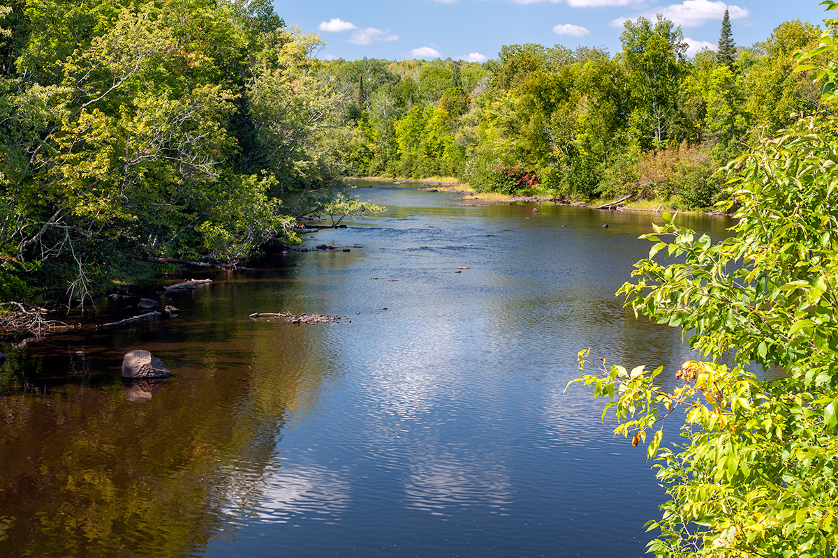 Pine River