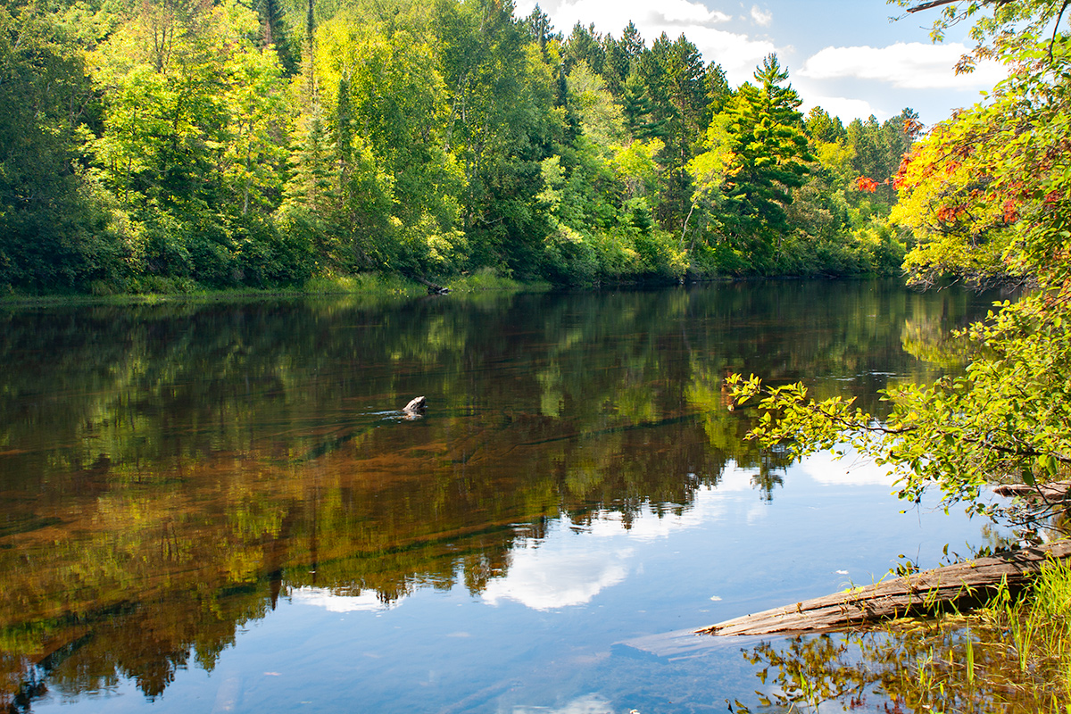 Pine River