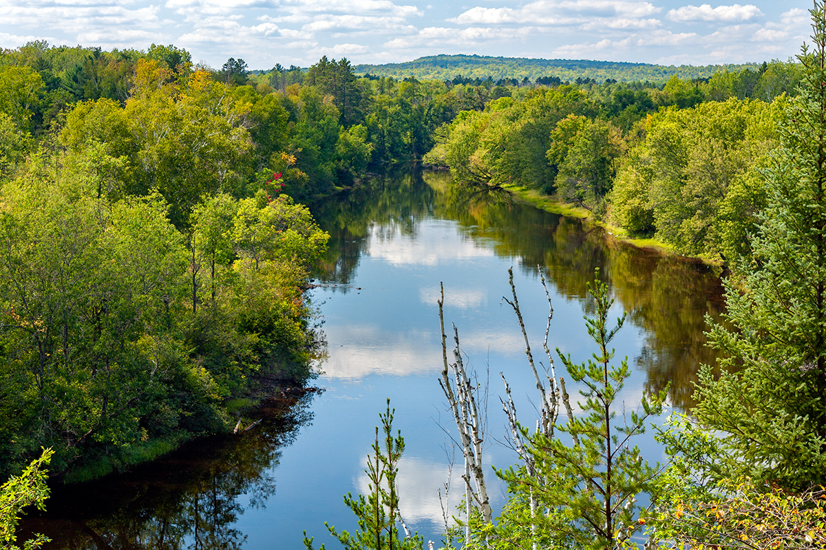 Pine River Image 022