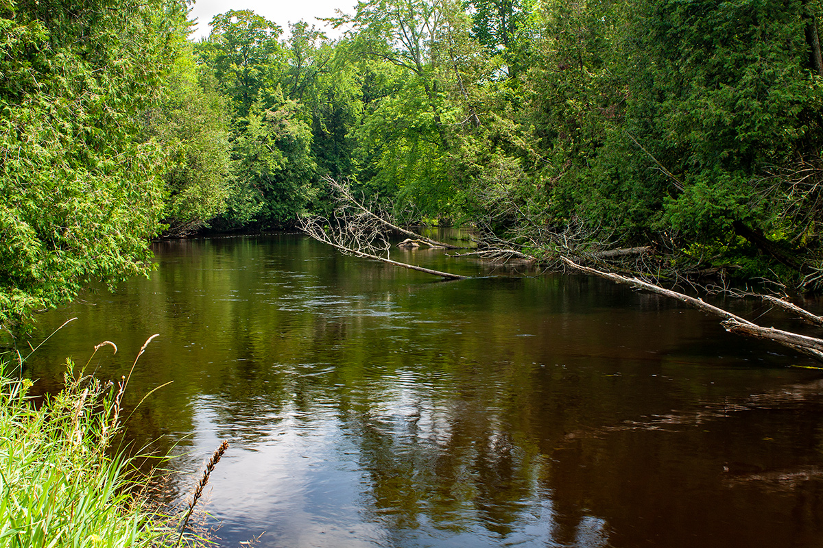 Red River