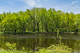 Black River Photo, 009