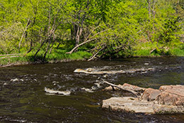 Black River Photo, 046