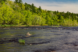 Black River Photo, 049