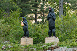 Black River Photo, 102