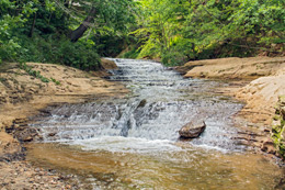Black River Photo, 287