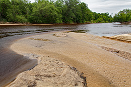 Black River Photo, 309