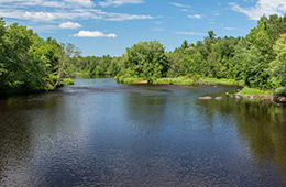 Flambeau River Photo, 589