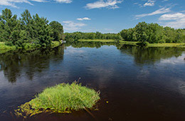 Flambeau River Photo, 597