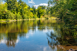Pine River Photo, 001