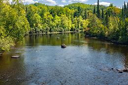 Pine River Photo, 004
