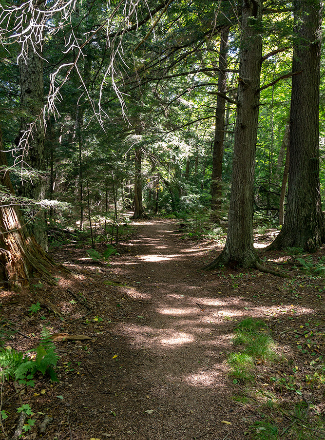 Franklin Nature Trail Image 010