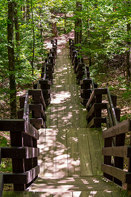 Copper Falls State Park Photo, 012