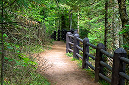 Copper Falls State Park Photo, 033