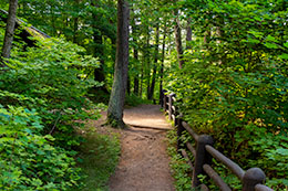 Copper Falls State Park Photo, 057
